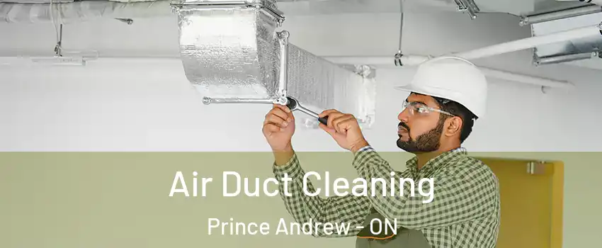  Air Duct Cleaning Prince Andrew - ON
