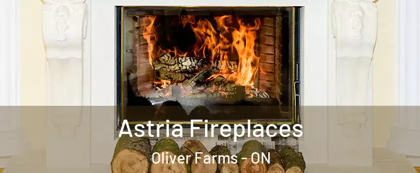  Astria Fireplaces Oliver Farms - ON
