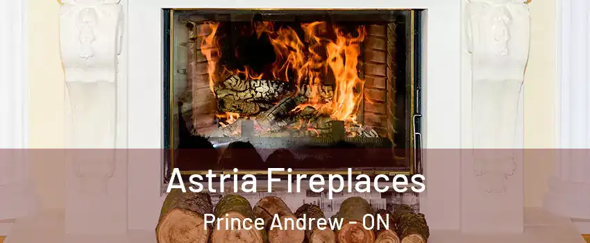  Astria Fireplaces Prince Andrew - ON