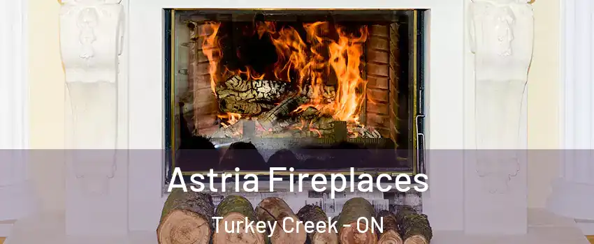  Astria Fireplaces Turkey Creek - ON