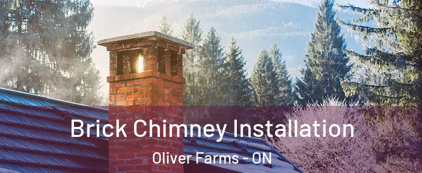  Brick Chimney Installation Oliver Farms - ON