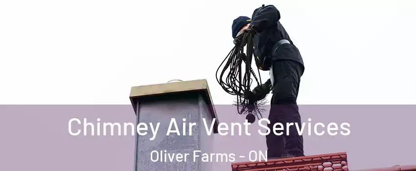  Chimney Air Vent Services Oliver Farms - ON