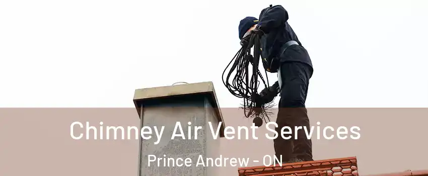  Chimney Air Vent Services Prince Andrew - ON