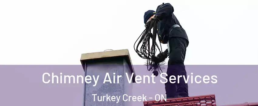  Chimney Air Vent Services Turkey Creek - ON