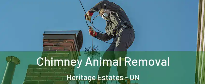 Chimney Animal Removal Heritage Estates - ON