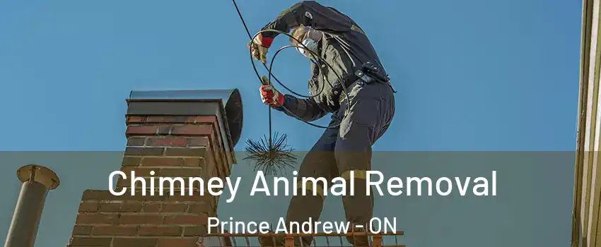 Chimney Animal Removal Prince Andrew - ON