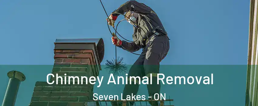 Chimney Animal Removal Seven Lakes - ON