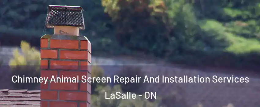  Chimney Animal Screen Repair And Installation Services LaSalle - ON
