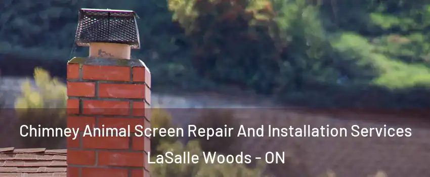  Chimney Animal Screen Repair And Installation Services LaSalle Woods - ON