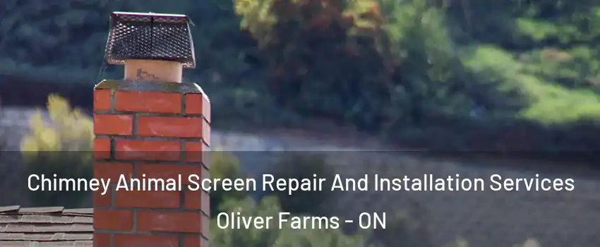  Chimney Animal Screen Repair And Installation Services Oliver Farms - ON