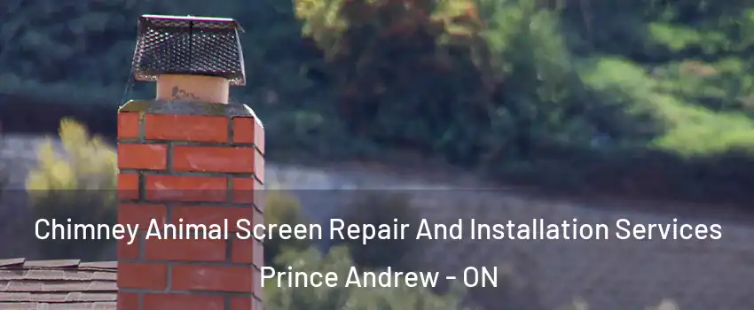  Chimney Animal Screen Repair And Installation Services Prince Andrew - ON