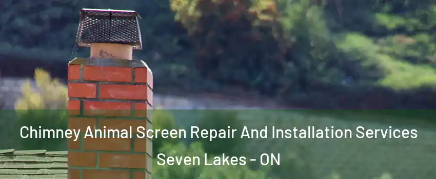  Chimney Animal Screen Repair And Installation Services Seven Lakes - ON