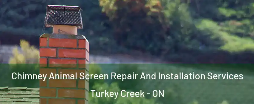 Chimney Animal Screen Repair And Installation Services Turkey Creek - ON