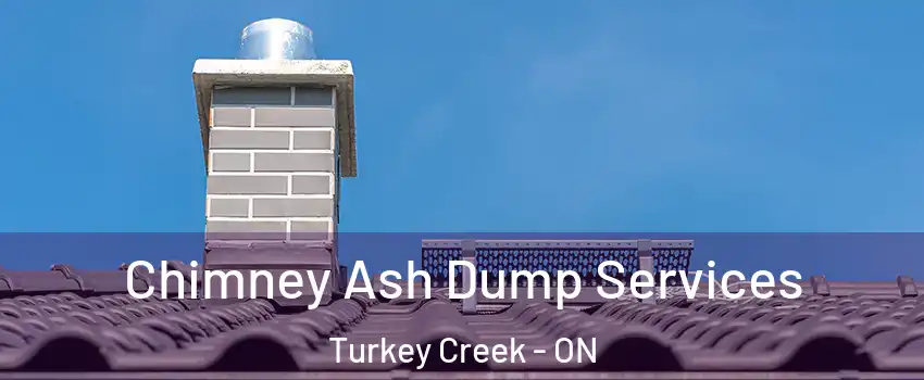  Chimney Ash Dump Services Turkey Creek - ON