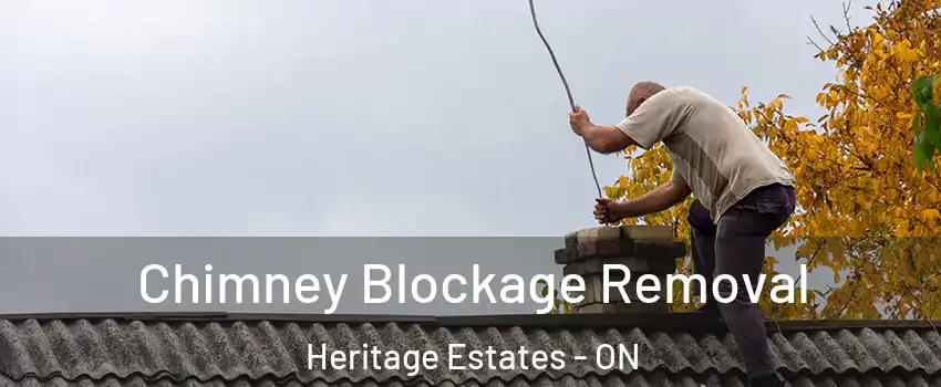  Chimney Blockage Removal Heritage Estates - ON