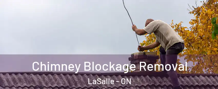 Chimney Blockage Removal LaSalle - ON