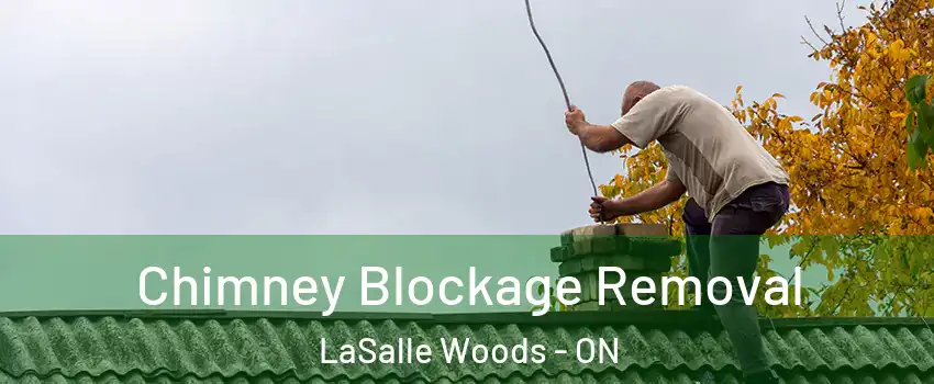  Chimney Blockage Removal LaSalle Woods - ON