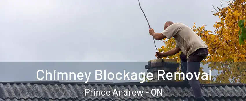  Chimney Blockage Removal Prince Andrew - ON
