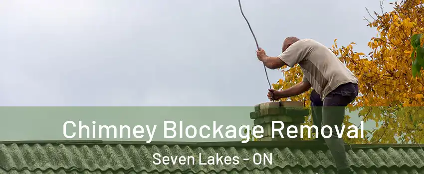  Chimney Blockage Removal Seven Lakes - ON