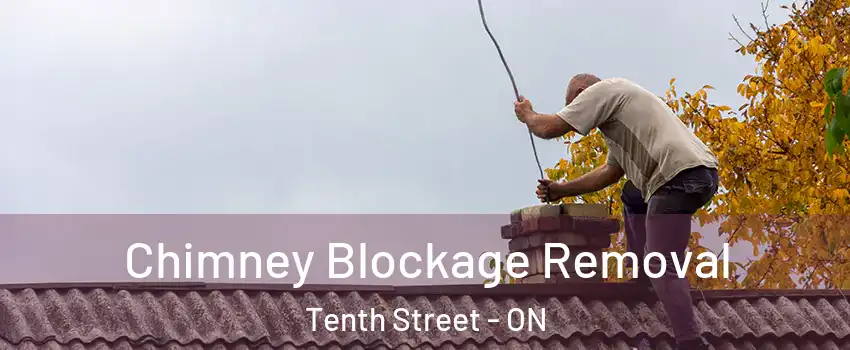  Chimney Blockage Removal Tenth Street - ON