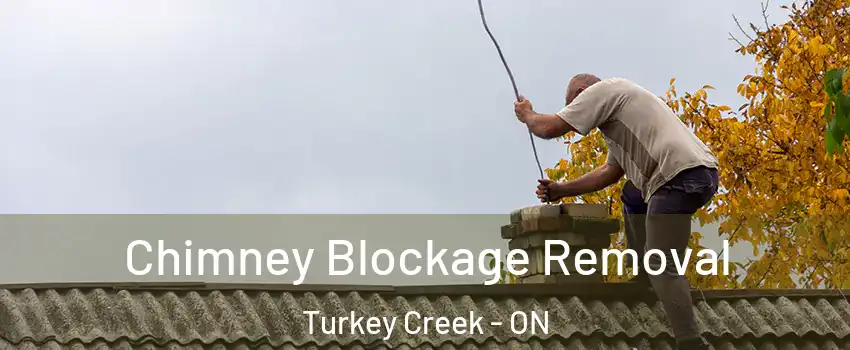  Chimney Blockage Removal Turkey Creek - ON