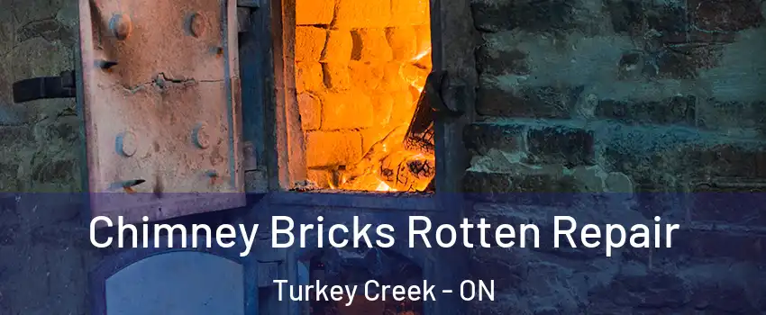  Chimney Bricks Rotten Repair Turkey Creek - ON