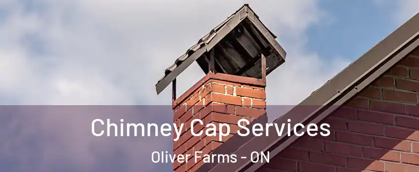  Chimney Cap Services Oliver Farms - ON
