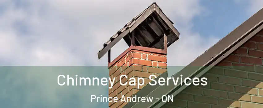  Chimney Cap Services Prince Andrew - ON