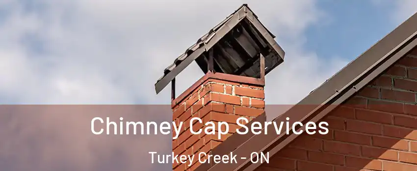  Chimney Cap Services Turkey Creek - ON