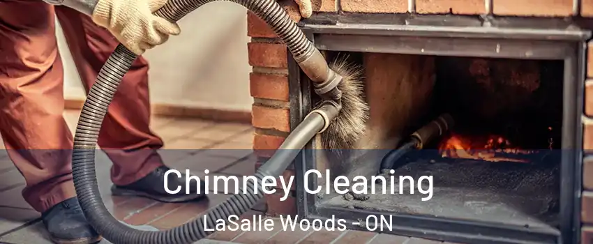  Chimney Cleaning LaSalle Woods - ON
