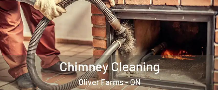  Chimney Cleaning Oliver Farms - ON
