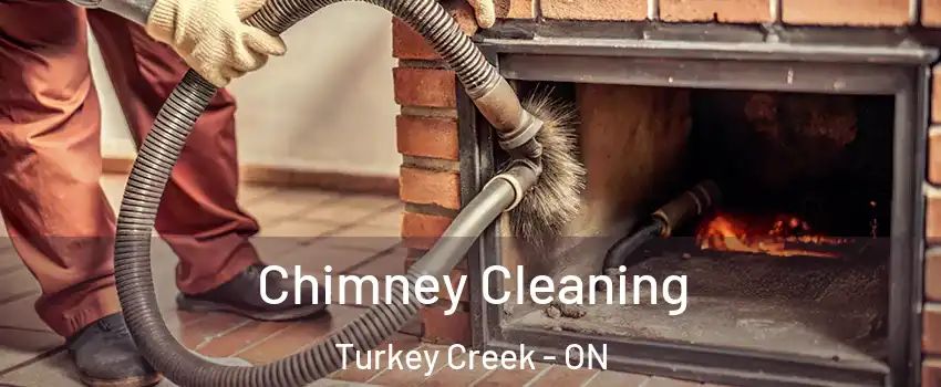  Chimney Cleaning Turkey Creek - ON