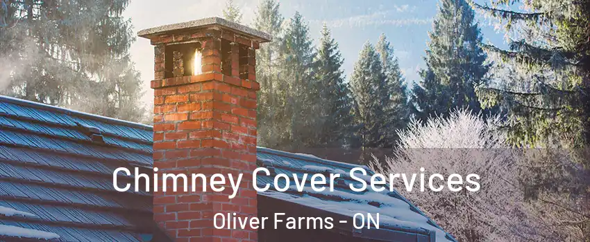  Chimney Cover Services Oliver Farms - ON