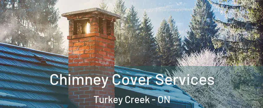  Chimney Cover Services Turkey Creek - ON