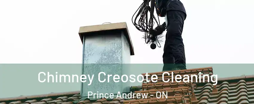  Chimney Creosote Cleaning Prince Andrew - ON