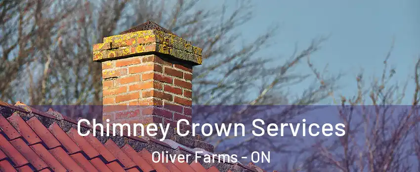  Chimney Crown Services Oliver Farms - ON