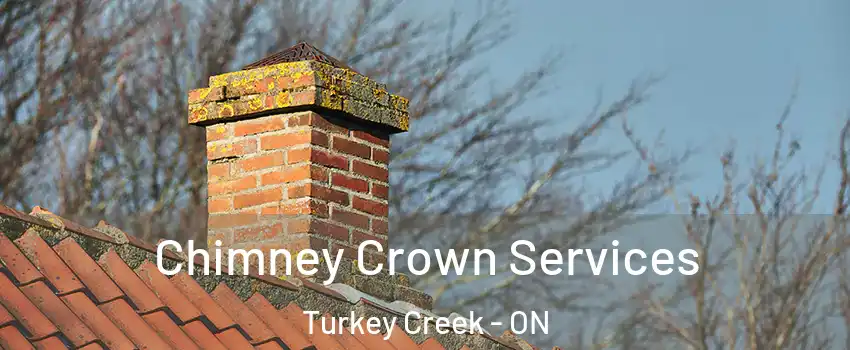  Chimney Crown Services Turkey Creek - ON