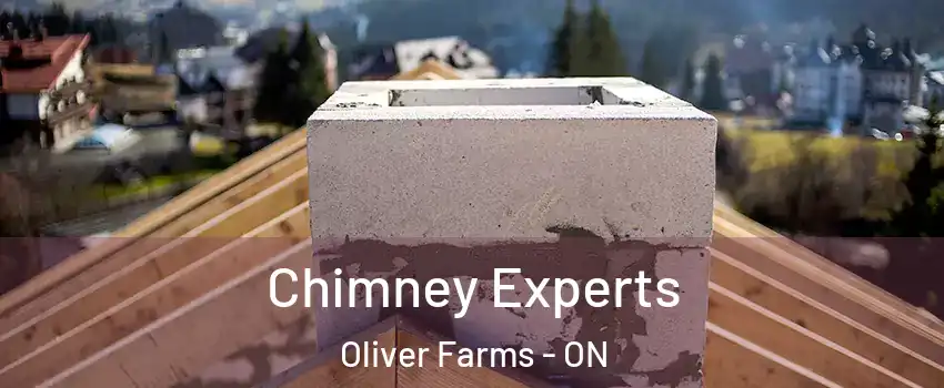 Chimney Experts Oliver Farms - ON