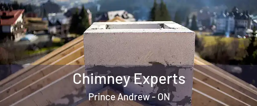 Chimney Experts Prince Andrew - ON