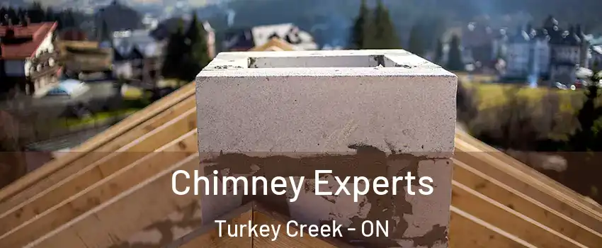 Chimney Experts Turkey Creek - ON