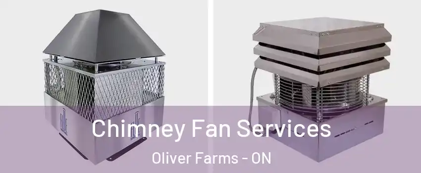  Chimney Fan Services Oliver Farms - ON