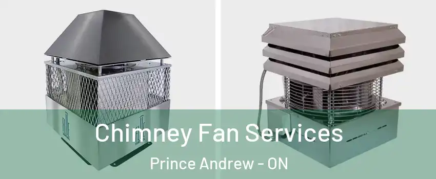  Chimney Fan Services Prince Andrew - ON