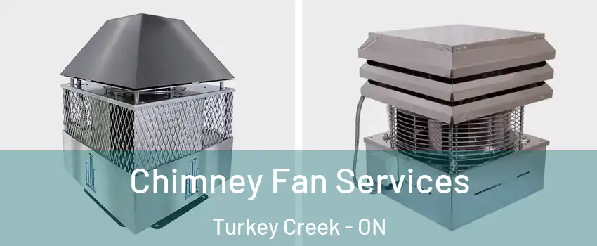  Chimney Fan Services Turkey Creek - ON