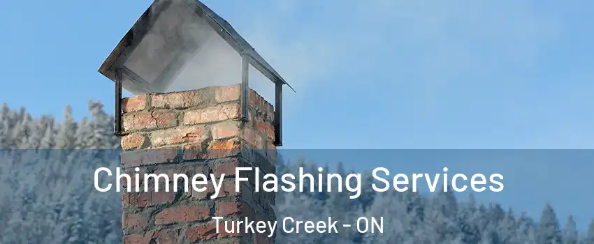 Chimney Flashing Services Turkey Creek - ON