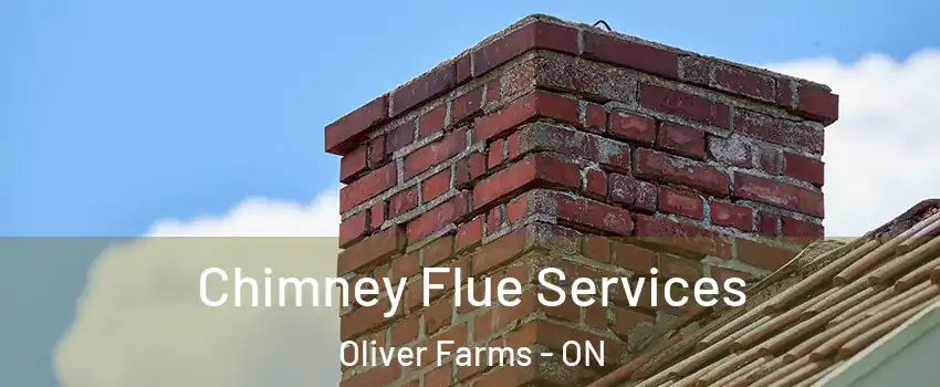  Chimney Flue Services Oliver Farms - ON