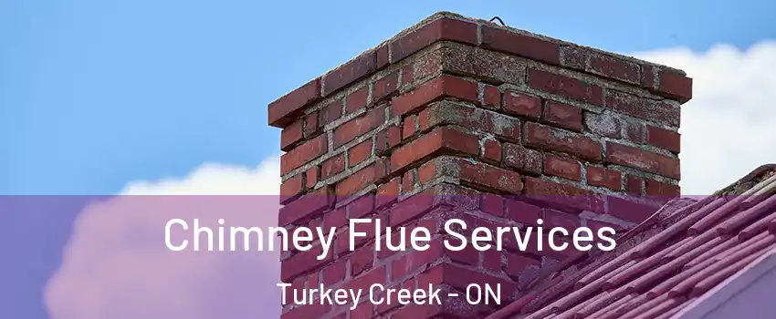  Chimney Flue Services Turkey Creek - ON