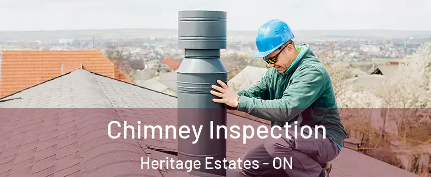 Chimney Inspection Heritage Estates - ON