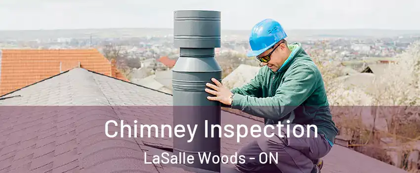  Chimney Inspection LaSalle Woods - ON