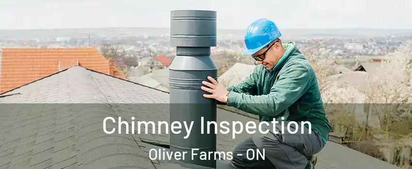  Chimney Inspection Oliver Farms - ON