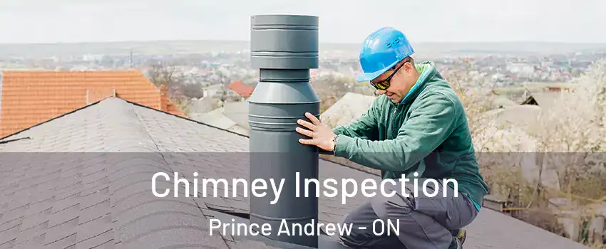  Chimney Inspection Prince Andrew - ON